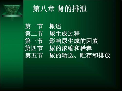 肾的排泄