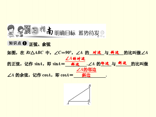 初三下数学课件(北师版)-正弦、余弦