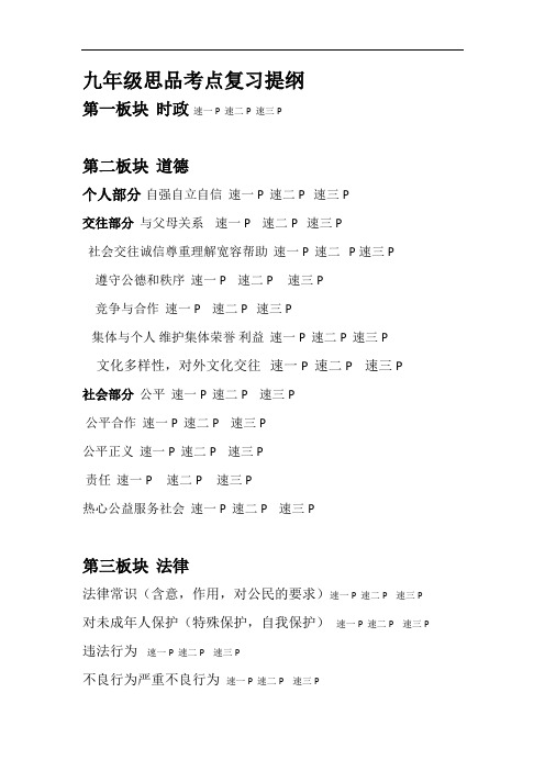 九年级思品考点复习提纲