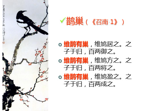 维鹊有巢维鸠居之之子于归百两御之-鹊巢-召南