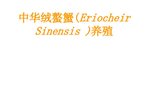 河蟹的养殖