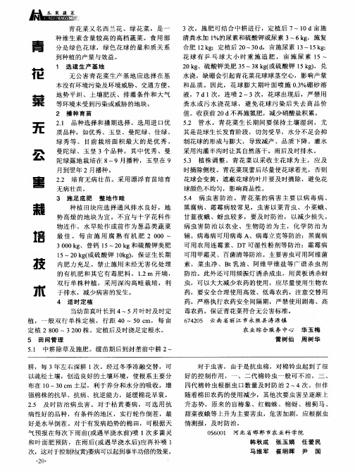 青花菜无公害栽培技术