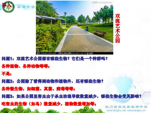 [人教版]《群落的结构》教学课件1
