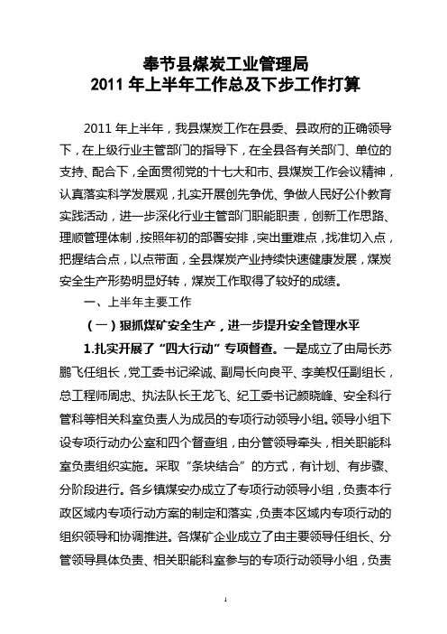 2011年1-6月半年总结