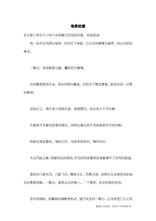 小学六年级散文：母亲的爱