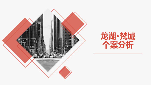 龙湖梵城【个案】