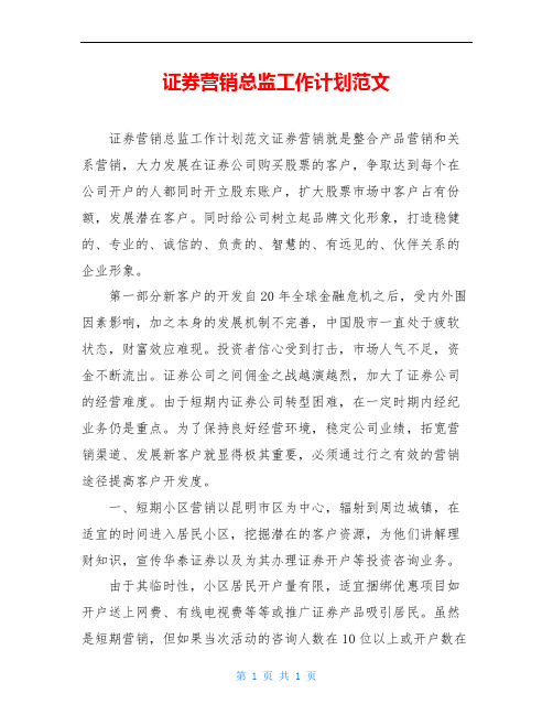 证券营销总监工作计划范文