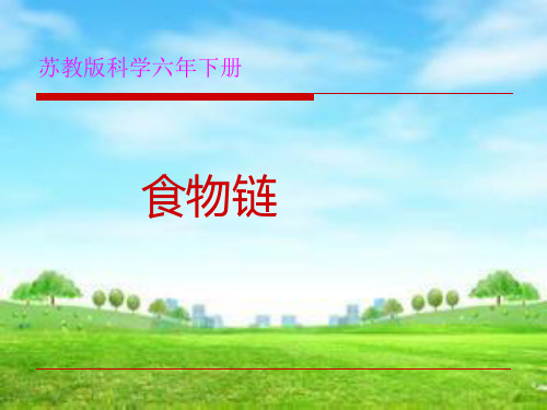 六年级科学下册《有趣的食物链》(苏教版)PPT课件