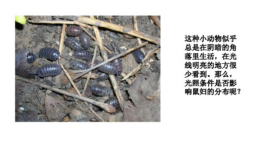 3、对照试验