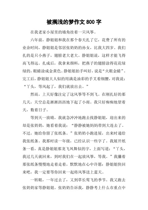 被搁浅的梦作文800字