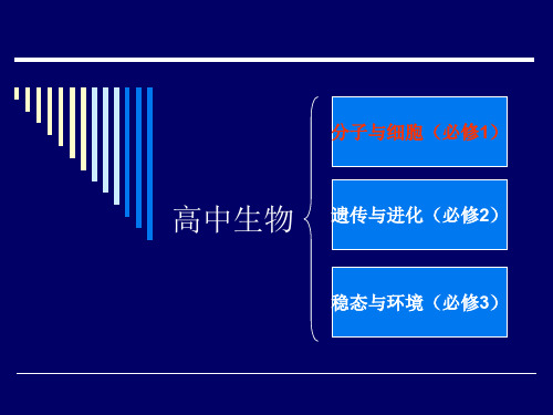 科学家访谈-探索生物大分子的奥秘 课件