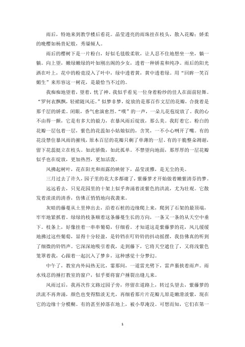 精选优秀作文雨后的樱花