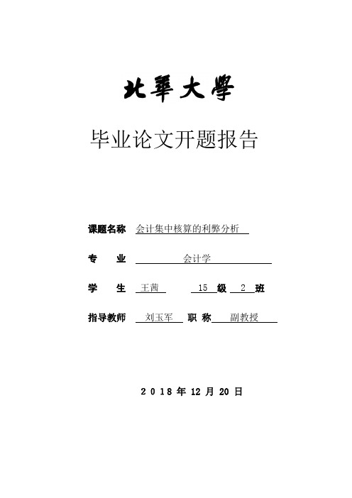 会计集中核算的利弊分析 (1)