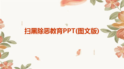 扫黑除恶教育PPT(图文版)