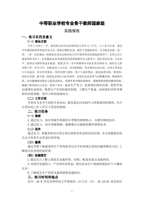 中等职业学校专业骨干教师国家级实践报告