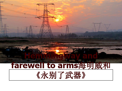最新Hemmingway and farewell to arms海明威和《永别了武器》