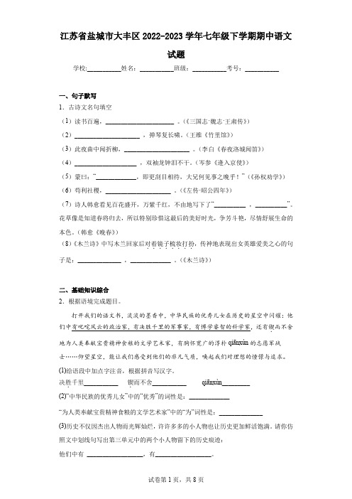 江苏省盐城市大丰区2022-2023学年七年级下学期期中语文试题(含解析)