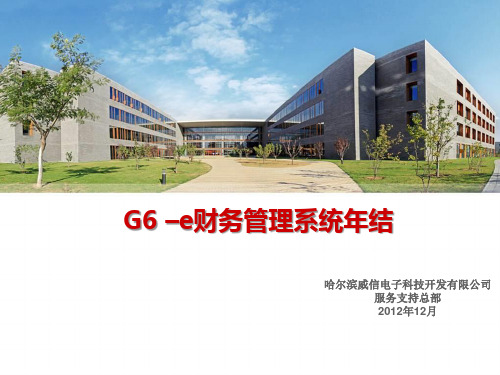 G6-e财务管理系统年结流程PPT