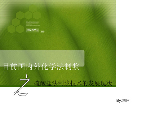 硫酸盐法制浆