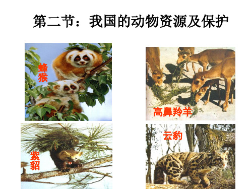 我国动物资源及保护1