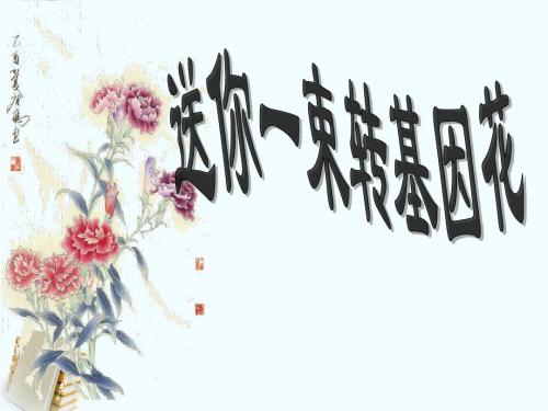 《送你一束转基因花》课件精品