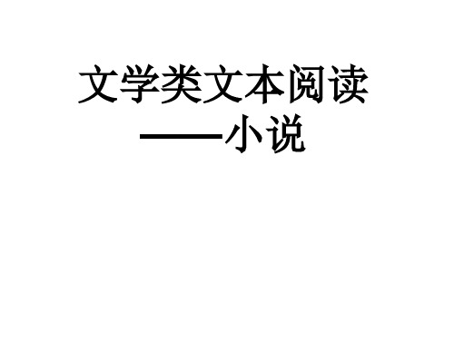 小说文本阅读(高一版)