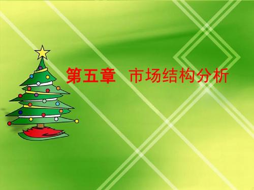 第五章  市场结构分析