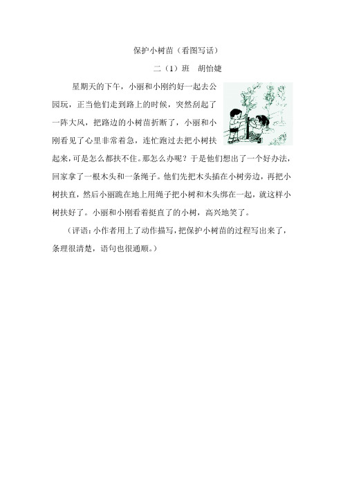 保护小树苗.看图写话