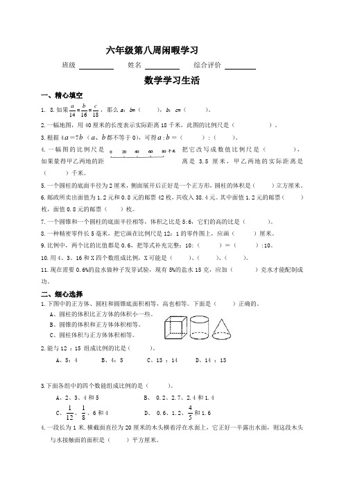 六年级下册数学试题-第八周学习作业-苏教版