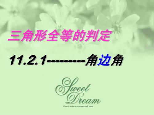 11.2.3(ASA)全等三角形