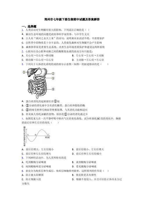 郑州市七年级下册生物期中试题及答案解答