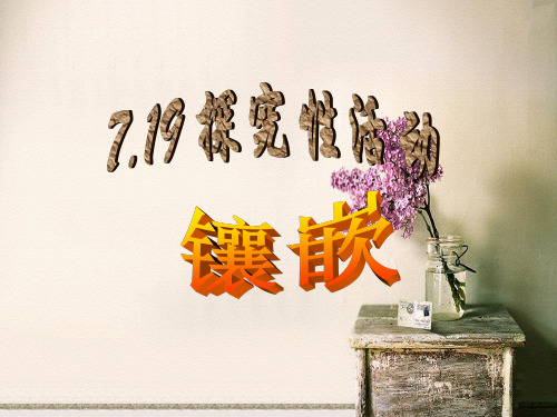 镶嵌PPT教学课件