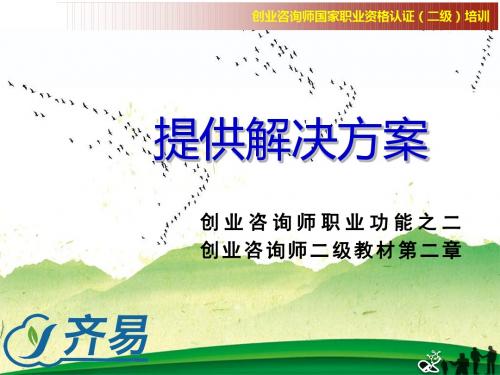 15-二级创业咨询师职业功能之二：提供解决方案
