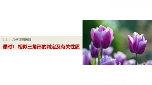 2017届一轮复习北师大版    相似三角形的判定及有关性质  课件