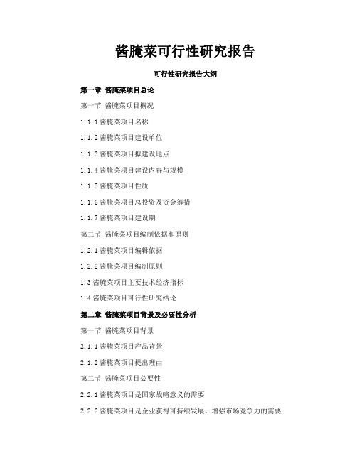 酱腌菜可行性研究报告