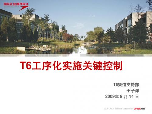 T6工序化实施简要