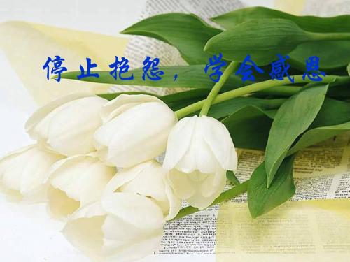 停止抱怨,学会感恩