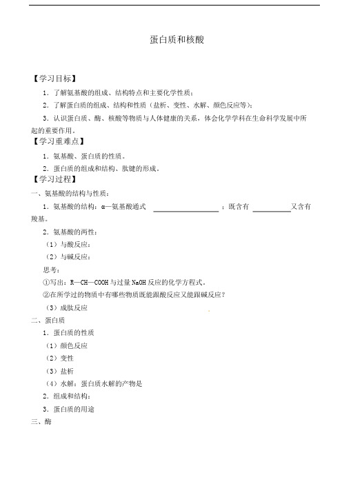 人教版选修5 化学：4.3 蛋白质和核酸  学案