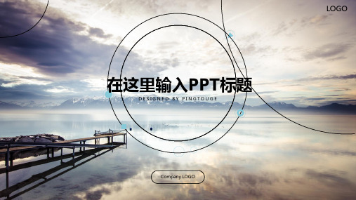 欧美高端大气简洁多线条静态述职报告ppt模板