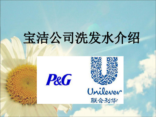 宝洁公司洗发水介绍(ppt 33页)