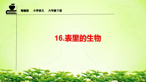 六年级下册语文第16课《表里的生物》复习课件PPT(部编版)