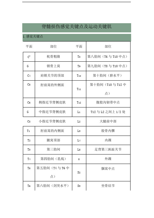 脊髓损伤感觉关键点及运动关键肌