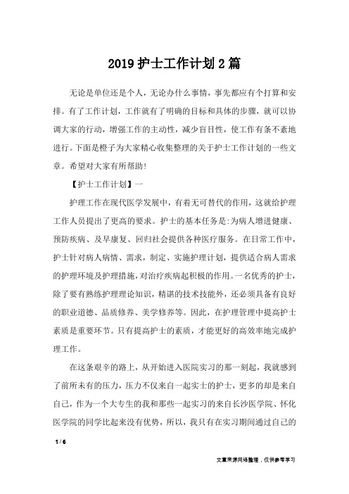 2019护士工作计划2篇_工作总结