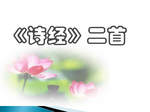 长春版《诗经二首》(《关雎》《蒹葭》)课件(共60张)