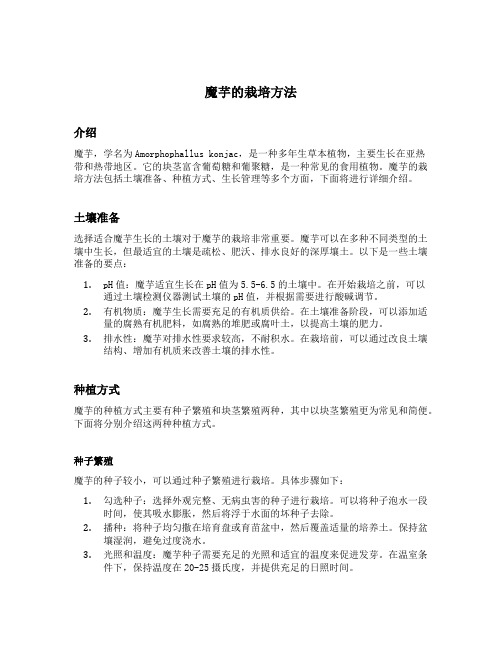 魔芋的栽培方法