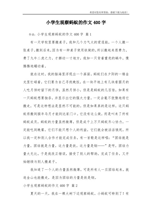 小学生观察蚂蚁的作文400字_7