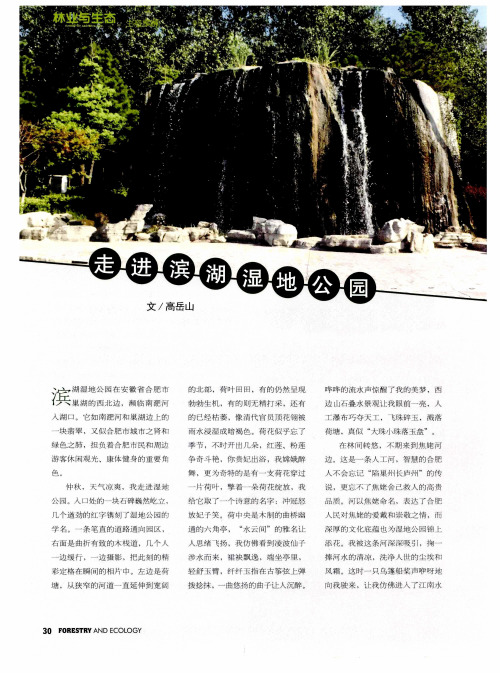 走进滨湖湿地公园