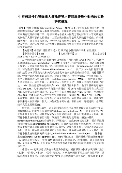 中医药对慢性肾衰竭大鼠残肾肾小管间质纤维化影响的实验研究概况