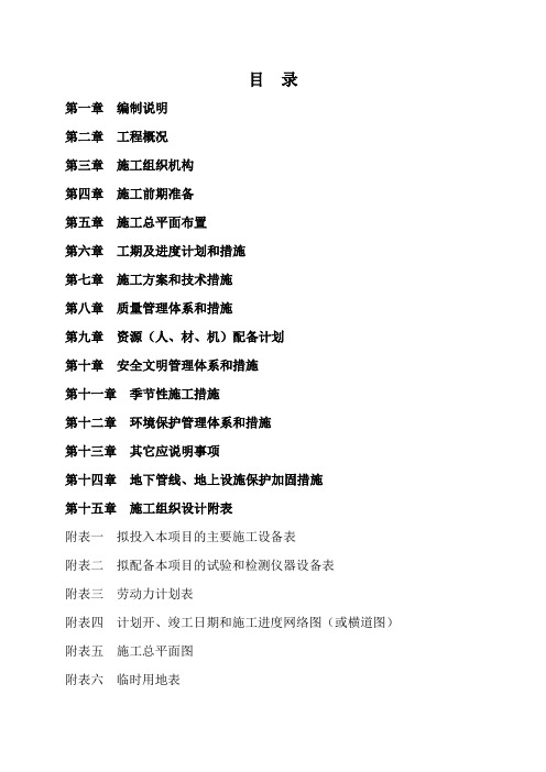 青神县青衣大道以北片区市政道路项目