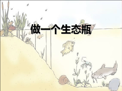 2021完整版《做一个生态瓶》生物与环境PPT课件2